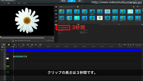VideoStudioで花が咲く効果 (3)